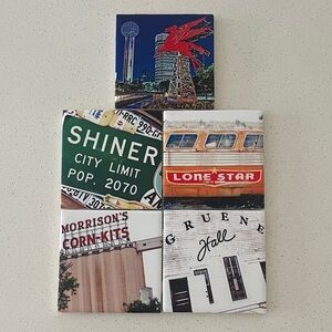 Texas Scenic Coaster Set